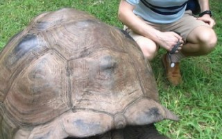  W ekoparku można spotkać taaaaakiego żółwia jak sobie spaceruje po trawie.