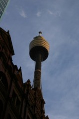 Sydney Tower - Moje zdjęcia i blogi z podróży i wypraw