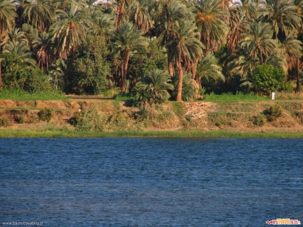 Bujna roślinność na brzegu życiodajnego Nilu