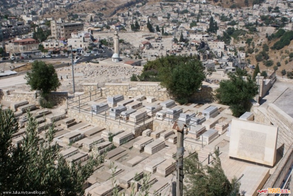 Widok na Cmentarz Żydowski