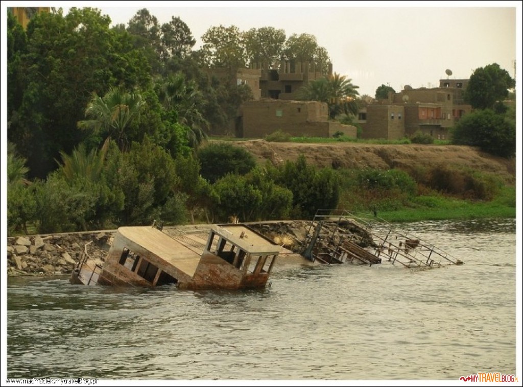 Podpatrzone na Nilu