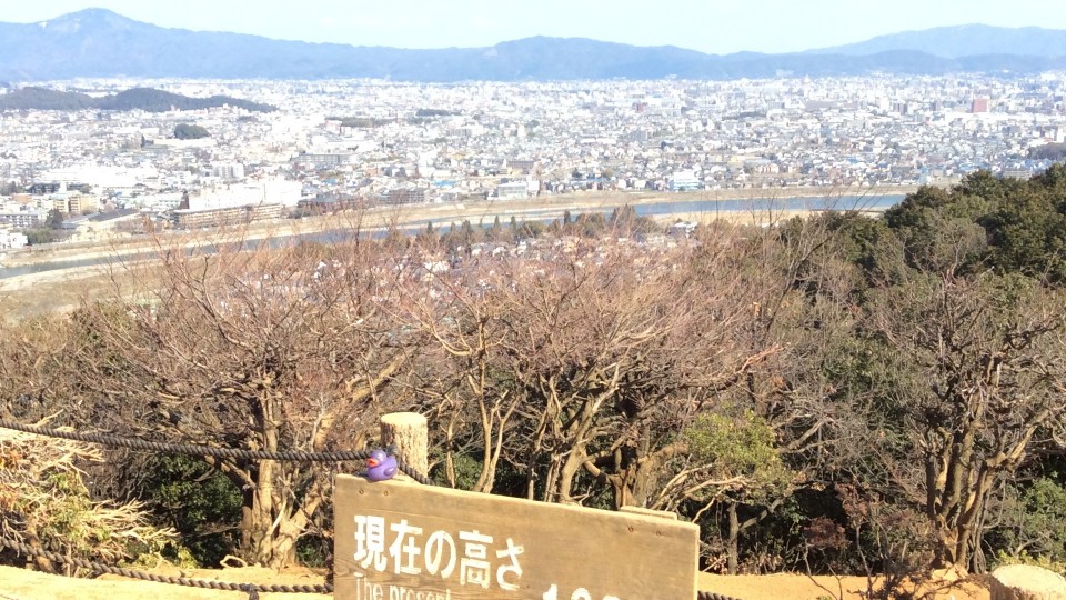 Kaczorek podziwia panoramę Kyoto