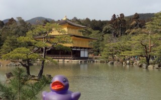   Kioto - Złoty Pawilon (Kinkaku-ji)