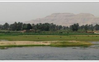  Podpatrzone na Nilu