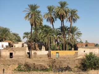 U brzegu Nilu - Moje zdjęcia i blogi z podróży i wypraw