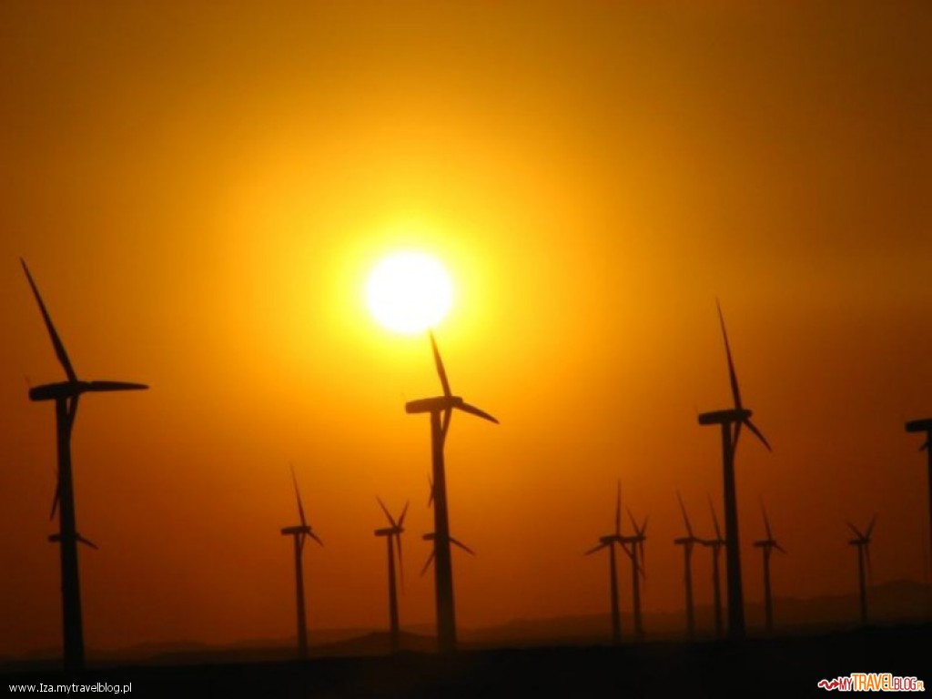 W Egipcie jest dużo elektrowni wiatrowych