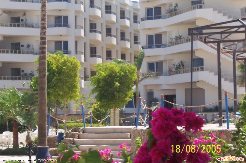 Hurghada- Sea Gull Hotel