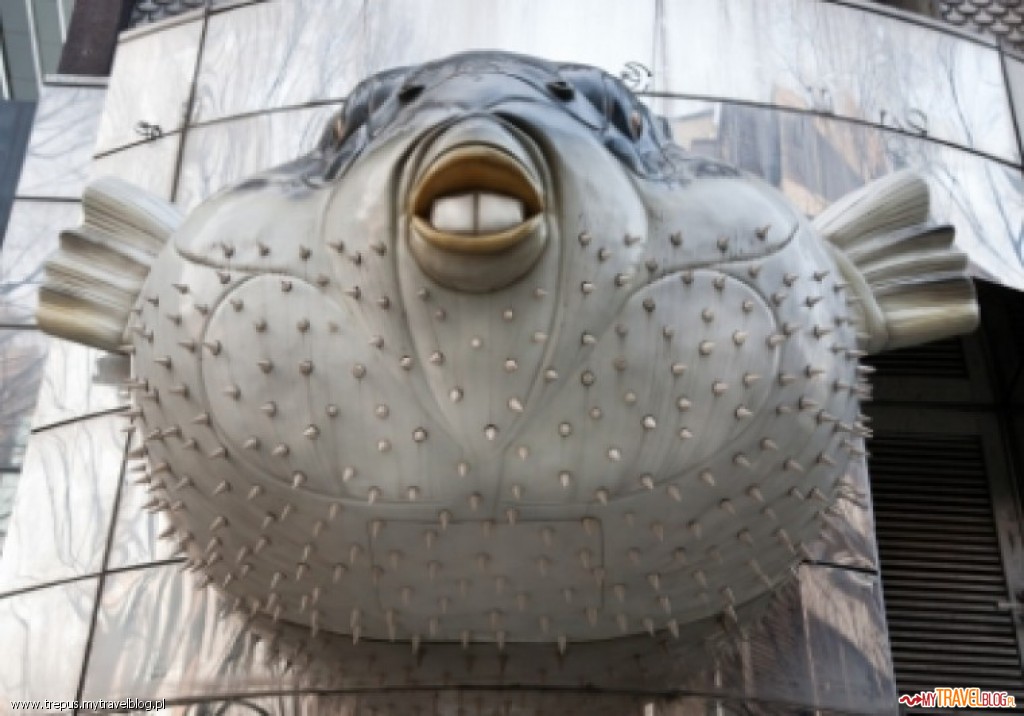 Sympatyczna ryba Fugu nad wejściem do restauracji